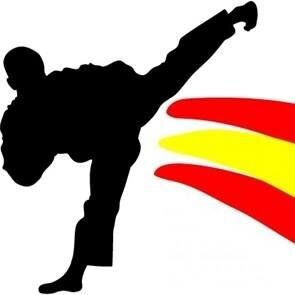 Información Nacional sobre Taekwondo WTF ESPAÑA: noticias, resultados, personajes y webs de interés