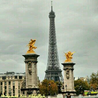 viboos9591's profile picture. 