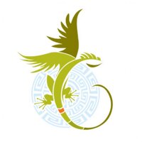 Flying Iguana (@flyingiguanajax) 's Twitter Profile