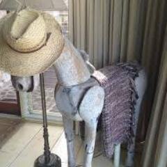 HatstandDonkey's profile picture. 