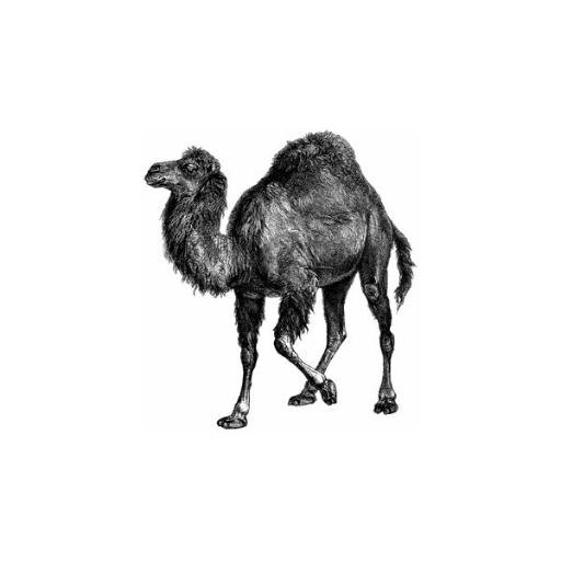 Perl is Alive! This campaign has been started to show the world that Perl is alive! Use #perlisalive to show the proof & spread the word!