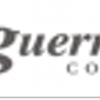 Guerreiro Consult (@gconsult) 's Twitter Profile