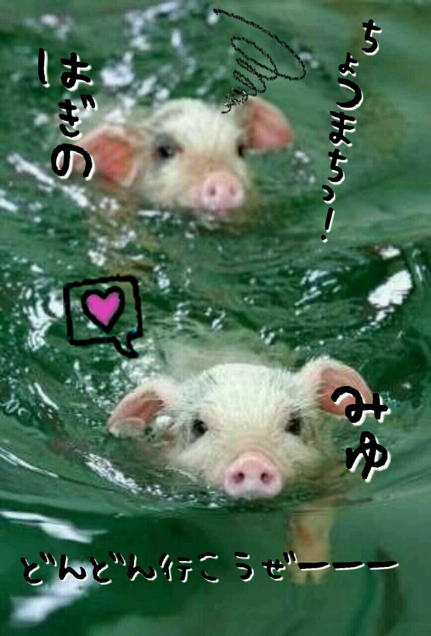 76yuuto's profile picture. 美容師絶対なるしか！！！頑張ろー！専門学校どこ行こうかなwww将来のことしか考えらんないwww