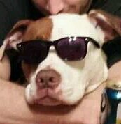 na8_smith's profile picture. out finding rooster feed..