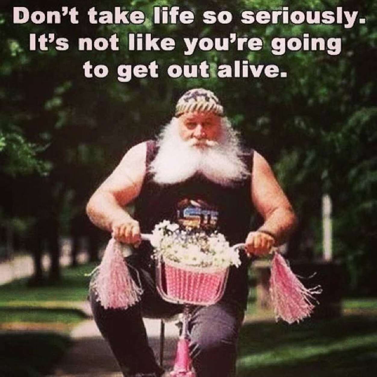 bull38659's profile picture. 