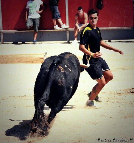 si luchas por lo que quieres y cuesta es el camino correcto (nunca tires la toalla)