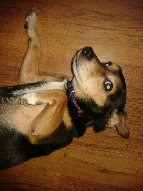 karlkanex1's profile picture. i 100% love / respect you Ariana Grande