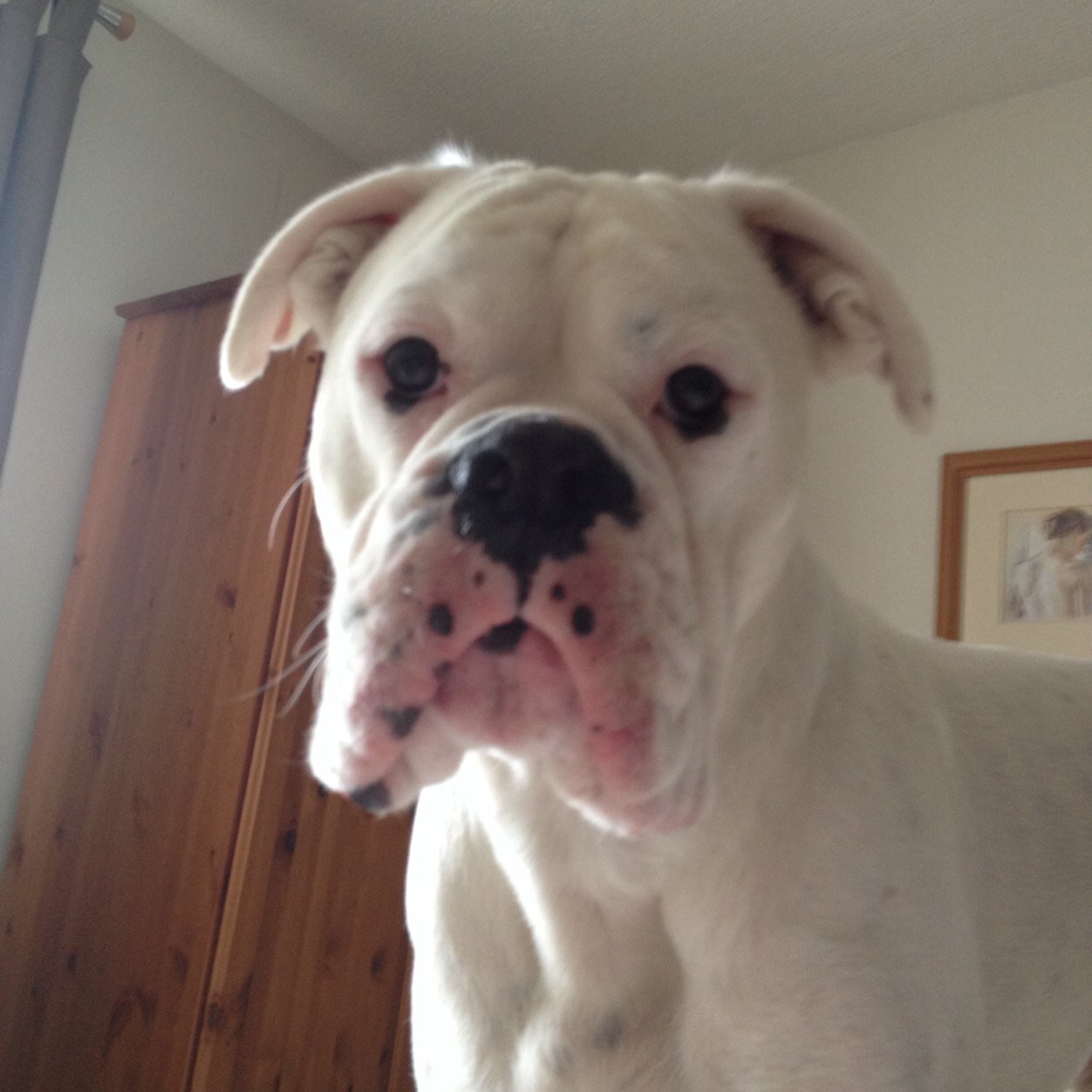 Evilkgit's profile picture. 