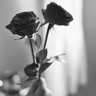 آمـيَ :فيُ آلإخرهة جنهة ؤ فيَ آلدنيإ آنتيَ..♡