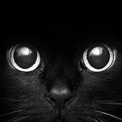 DokerKerry's profile picture. 