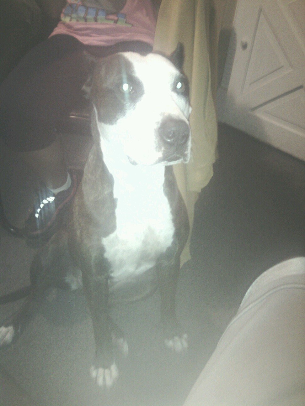 LenWilson7's profile picture. I love games