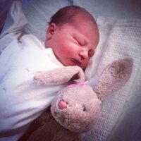 tony hammans (@tony_hammans) 's Twitter Profile