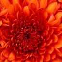 sandra skubis - @SandraSkubis - Twitter