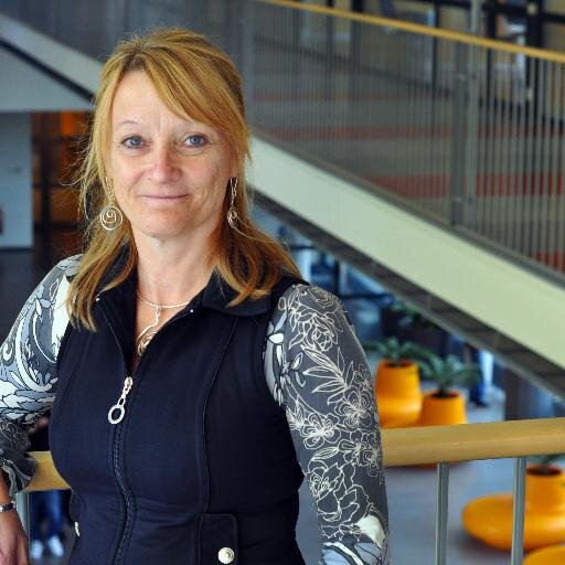 Barn- och utbildningsdirektör, Västerås stad.