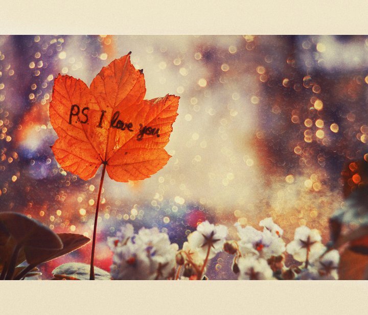 ErnestBlemko's profile picture. Test of Time, Test of Patient.