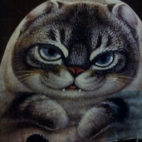 Oliver Palmers (@superfortune) 's Twitter Profile