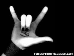 SIGUEME Y TE SIGO :3