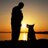 k95167's profile image