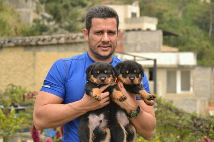 RicardoEZamora's profile picture. 