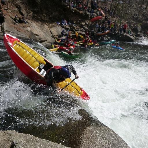 Paul Scriver Profile