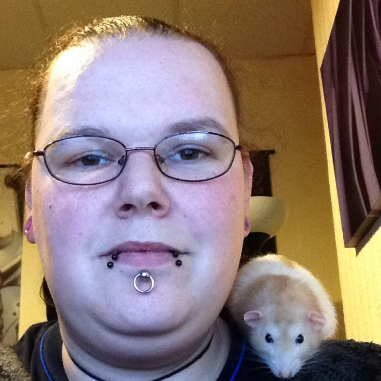 Rat Lover, wow player, warhammer 40k, gamer, animal lover.