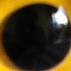 Newpractical's profile picture. 