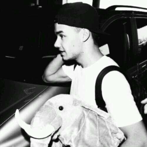 Liam James Payne || 20 || autolesionista || stanza n.2 ||