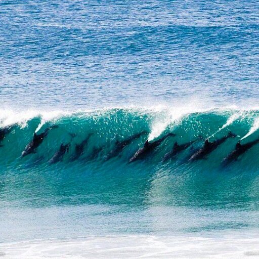 Fijikat007's profile picture. Recruiting expert!