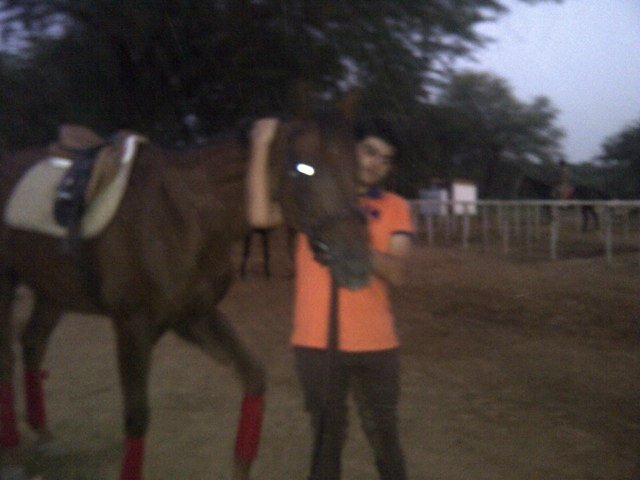 equestrian
founder and head of operations transformers India