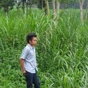 amin safa'at - @aminsafaat1 - Twitter