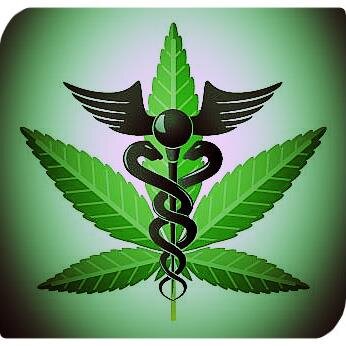 #MUFC #NEPats #RedSoxNation #C.R.E.A.M The single best investment of 2014 for reals #letsgoweed