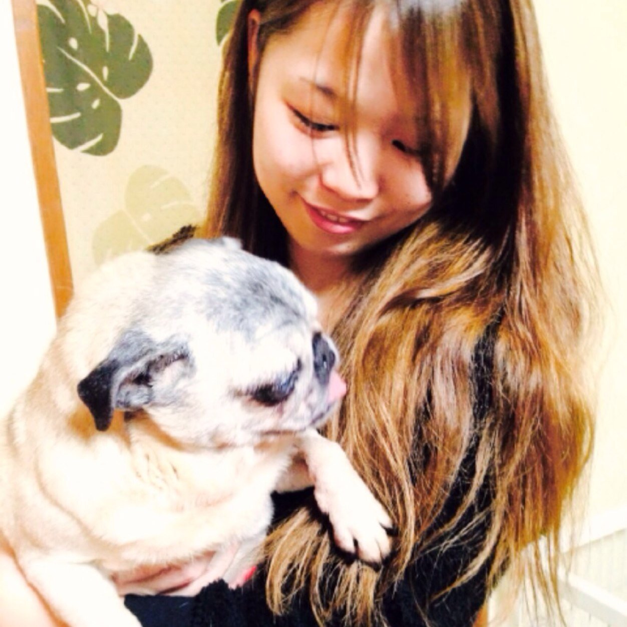 高橋美紗 Vam8633 Twitter