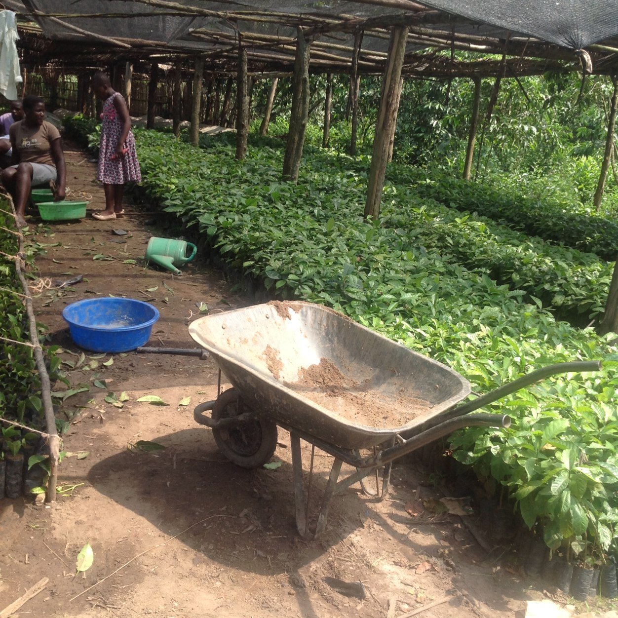 A farmer creating  Jobs for young people in Uganda, join us at National Young Farmers Coalition