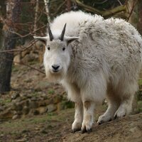 Abitak (@abitakk) 's Twitter Profile