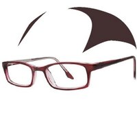 Chris Richards (@propphysiology) 's Twitter Profile