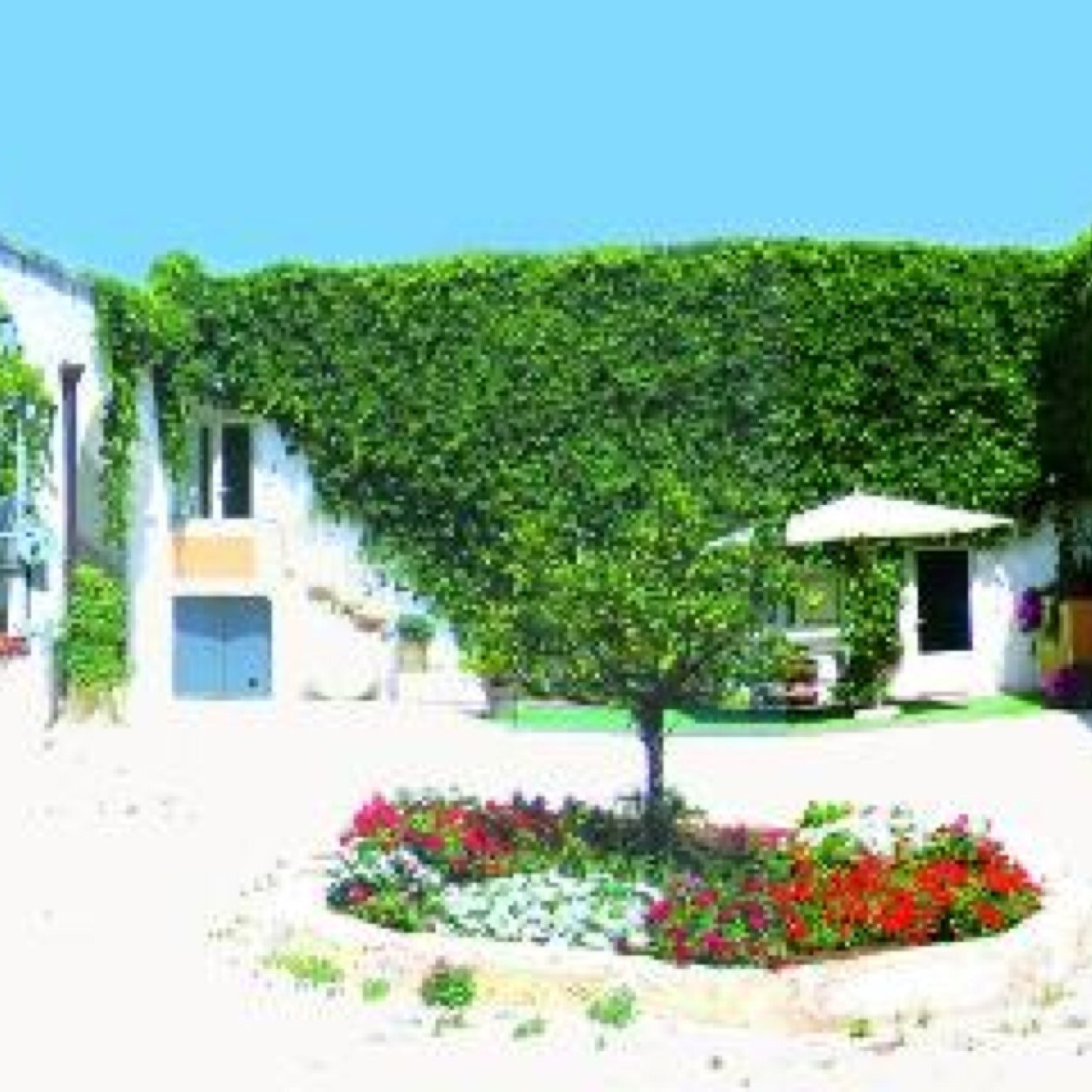 http://t.co/mUhzd3ETIp - lamacchiola@libero.it La Macchiola Agriresort - Spongano (Le)