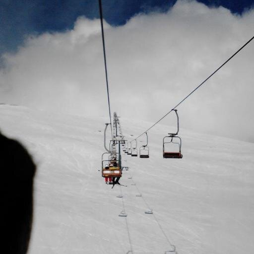 Skier
