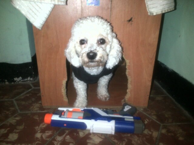 OLA K ASE