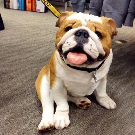 TLU Bookstore