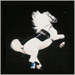 qiponevobuhe's profile picture. Extreme writer #sometimes .About me ... Amateur alcohol nerd  -