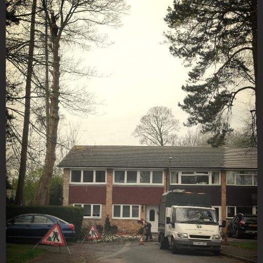 PTGC319's profile picture. We are a company that deals with Tree and Garden care. You can contact us by phone number or you can look at our website. Check us out on FB & Instagram.