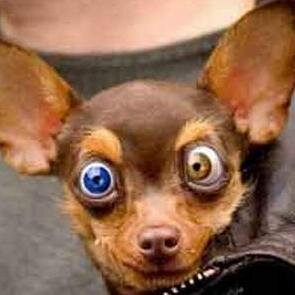 nheilbuth's profile picture. 