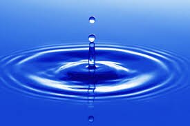 water conservation house program...