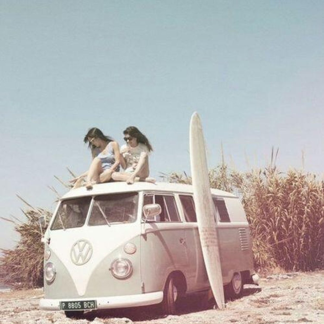 Summer Bucket List