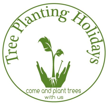 Eco holidays in Wales planting trees  to combat climate change as part of a social enterprise- helping those less privileged than us back to work.