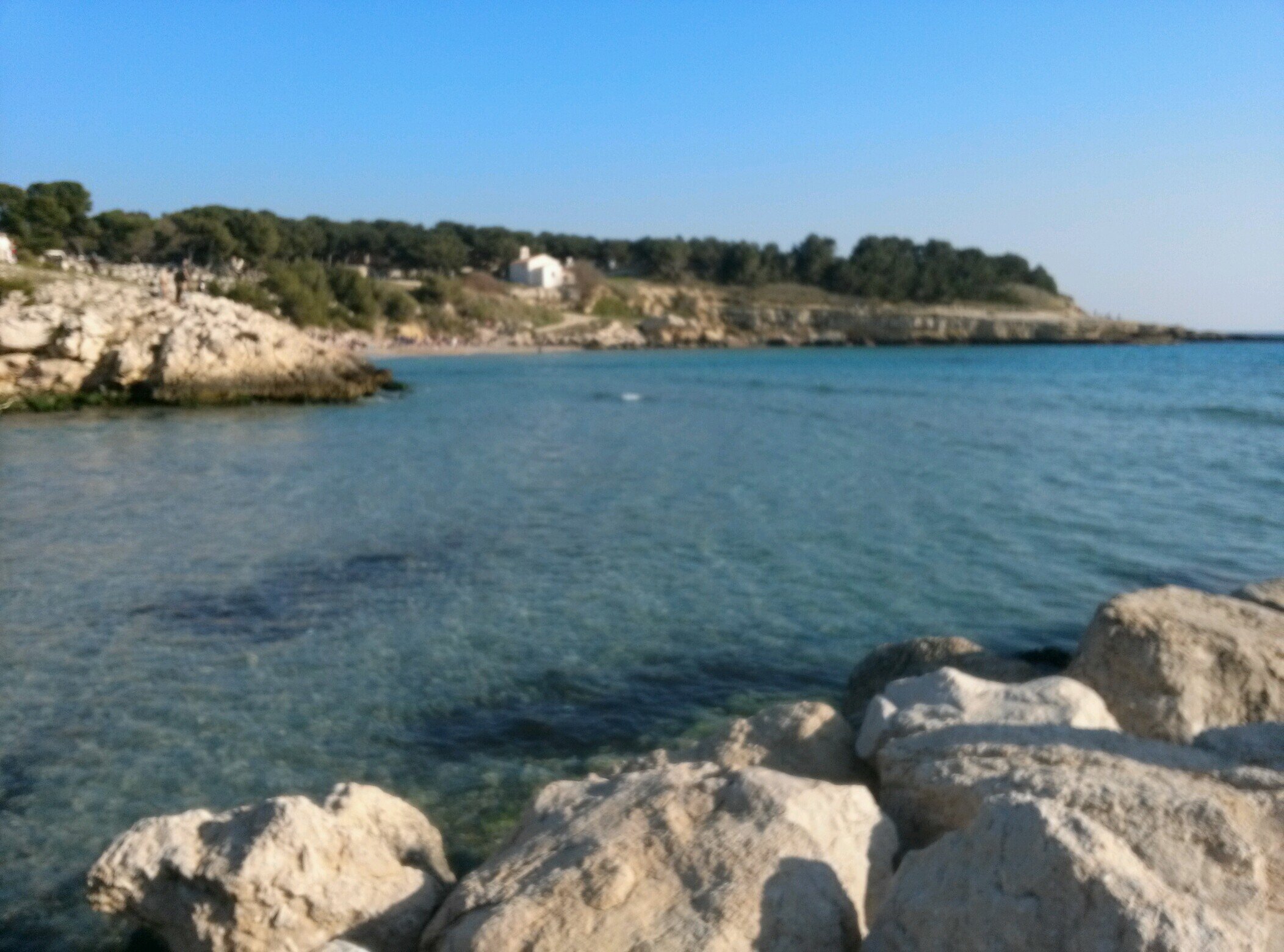 Leflow13's profile picture. 