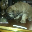 walter alzate  - @OoAlzate - Twitter