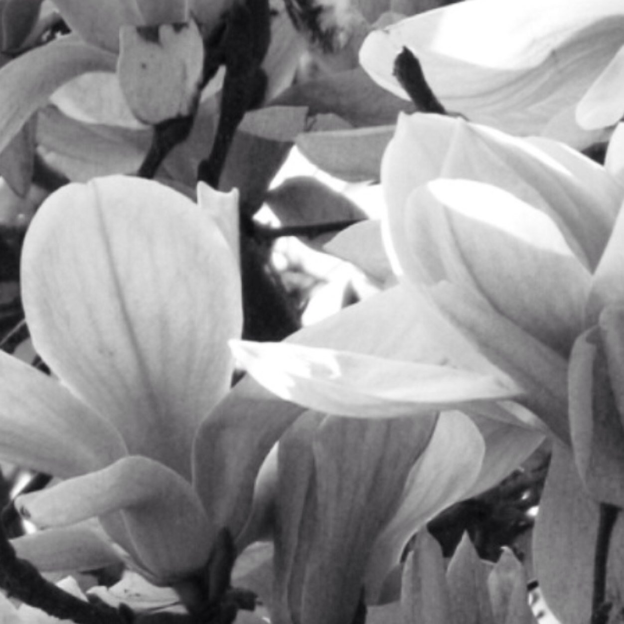 richyt75's profile picture. 