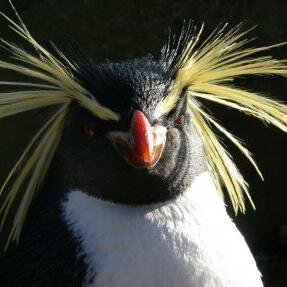 LarryLieberman3's profile picture. 