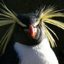 Larry Lieberman - @LarryLieberman3 - Twitter